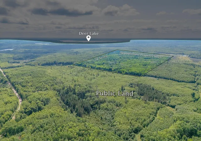Land for sale at Tbd County Rd 523, Effie, MN 56639 | MLS# 7134428