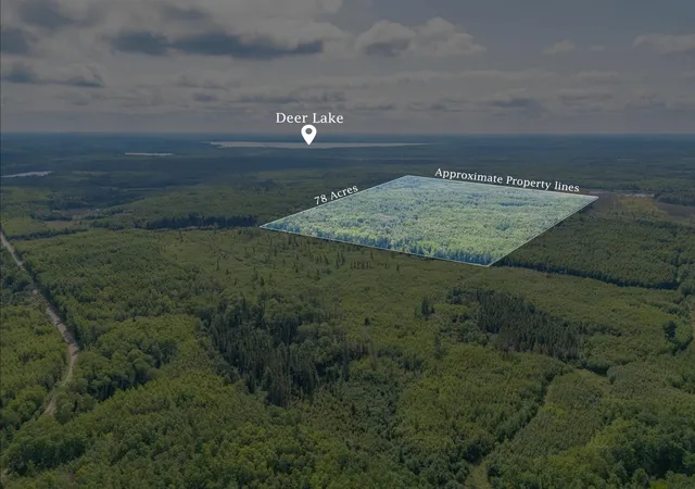 Photo 2 of Land for sale at Tbd County Rd 523, Effie, MN 56639 | MLS# 7134428 | Listing updated on 2026-08-27