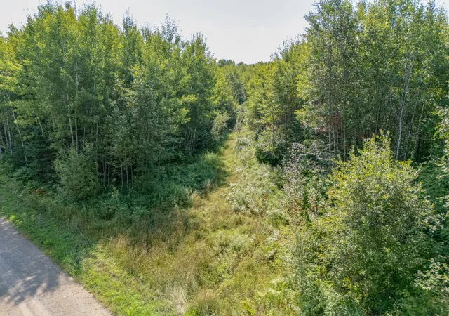 Photo 3 of Land for sale at Tbd County Rd 523, Effie, MN 56639 | MLS# 7134428 | Listing updated on 2026-08-27
