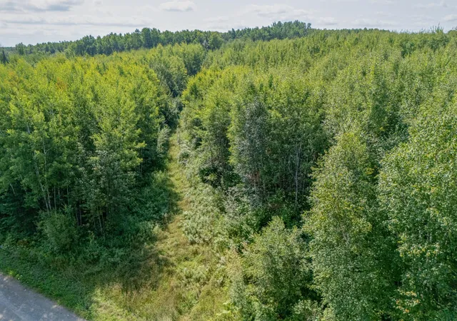 Photo 3 of Land for sale at Tbd County Rd 523, Effie, MN 56639 | MLS# 7134428 | Listing updated on 2026-08-27