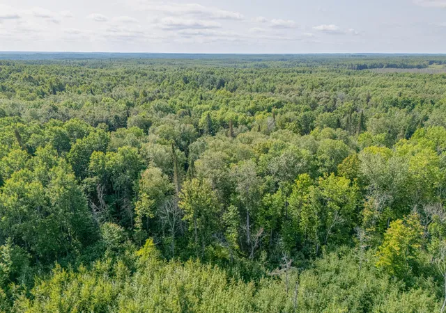 Photo 4 of Land for sale at Tbd County Rd 523, Effie, MN 56639 | MLS# 7134428 | Listing updated on 2026-08-27
