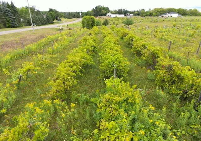 Photo 3 of Land for sale at 40306 Torchlight Rd, Isle, MN 56342 | MLS# 7134515 | Listing updated on 2026-09-21