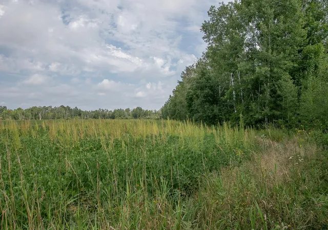 Photo 2 of Land for sale at Tbd County Rd 11, Aitkin, MN 56431 | MLS# 7134696 | Listing updated on 2026-09-01