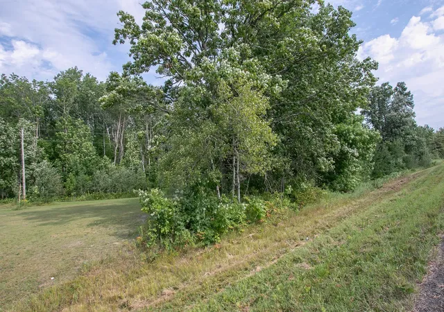Photo 3 of Land for sale at Tbd County Rd 11, Aitkin, MN 56431 | MLS# 7134696 | Listing updated on 2026-09-01