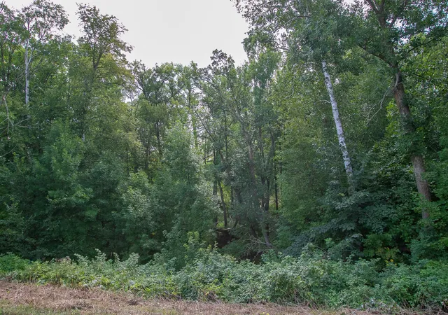 Photo 3 of Land for sale at Tbd County Rd 11, Aitkin, MN 56431 | MLS# 7134696 | Listing updated on 2026-09-01