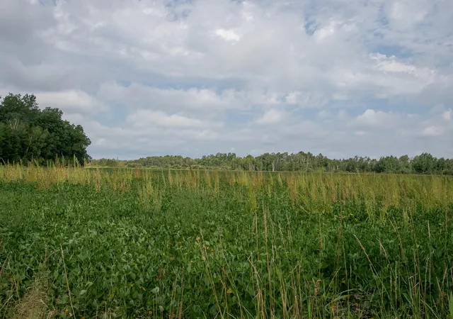 Photo 4 of Land for sale at Tbd County Rd 11, Aitkin, MN 56431 | MLS# 7134696 | Listing updated on 2026-09-01