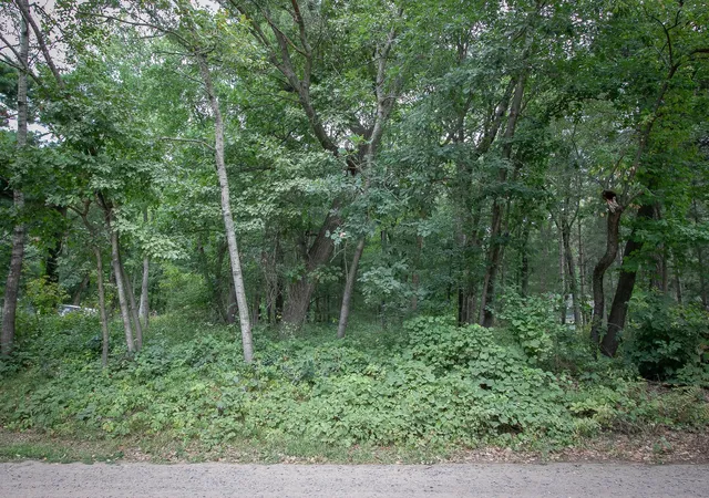 Photo 2 of Land for sale at Tbd 241st Avenue Ne, Stacy, MN 55079 | MLS# 7134702 | Listing updated on 2026-09-01