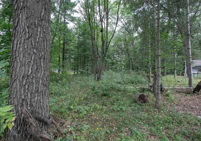 Photo 3 of Land for sale at Tbd 241st Avenue Ne, Stacy, MN 55079 | MLS# 7134702 | Listing updated on 2026-09-01