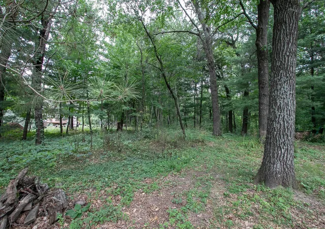 Photo 3 of Land for sale at Tbd 241st Avenue NE, Stacy, MN 55079 | MLS# 7134702 | Listing updated on 2026-09-01