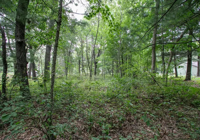 Photo 4 of Land for sale at Tbd 241st Avenue NE, Stacy, MN 55079 | MLS# 7134702 | Listing updated on 2026-09-01