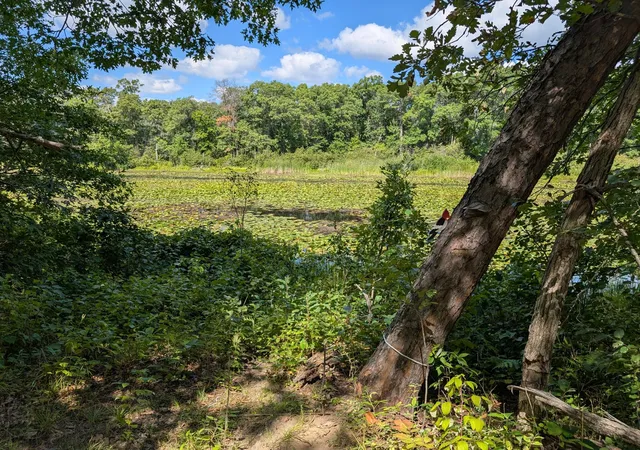 Photo 1 of Land for sale at Lot 9 Block 1 Fawn Lake Road, Cross Lake, MN 56442 | MLS# 7134748 | Listing updated on 2026-08-31