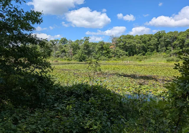 Photo 2 of Land for sale at Lot 9 Block 1 Fawn Lake Road, Cross Lake, MN 56442 | MLS# 7134748 | Listing updated on 2026-08-31