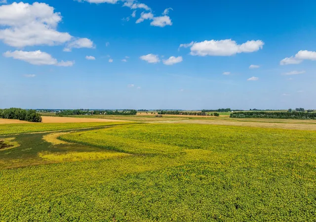 Photo 2 of Land for sale at Tbd 15 Ave Ne Lot 1, Towner, ND 58788 | MLS# 7134997 | Listing updated on 2026-09-21