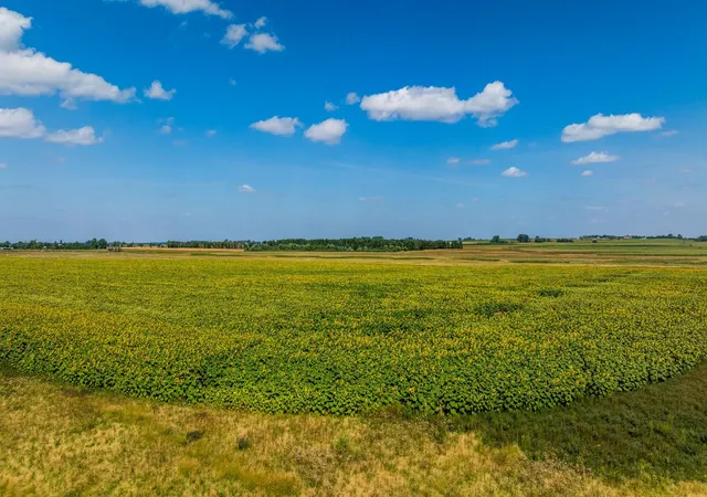 Photo 4 of Land for sale at Tbd 15 Ave NE Lot 1, Towner, ND 58788 | MLS# 7134997 | Listing updated on 2026-09-21