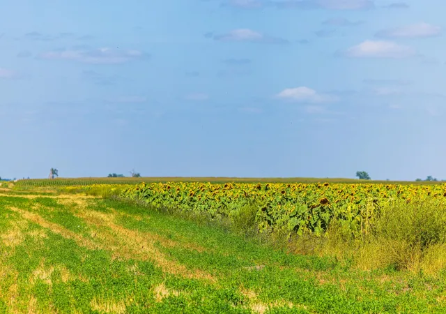 Photo 3 of Land for sale at Tbd 15 Ave NE Lot 2, Towner, ND 58788 | MLS# 7135045 | Listing updated on 2026-09-03