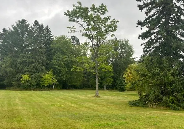 Photo 3 of Land for sale at 320 S 1st Ave E, Aurora, MN 55705 | MLS# 7135223 | Listing updated on 2026-09-04