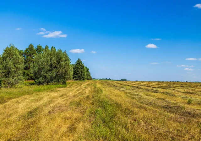 Photo 3 of Land for sale at Tbd Berwick Ln Lot 5, Towner, ND 58788 | MLS# 7135248 | Listing updated on 2026-09-21