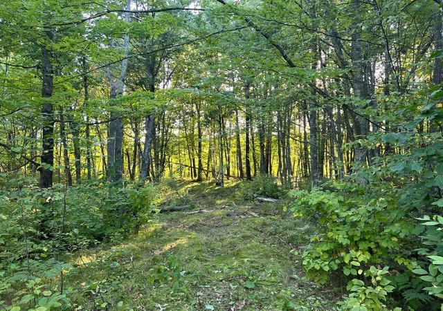 Photo 3 of Land for sale at 000 Dell Rd, Finlayson, MN 55735 | MLS# 7135259 | Listing updated on 2026-09-03