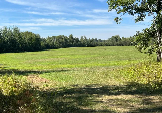 Photo 3 of Land for sale at 000 Dell Rd, Finlayson, MN 55735 | MLS# 7135259 | Listing updated on 2026-09-03