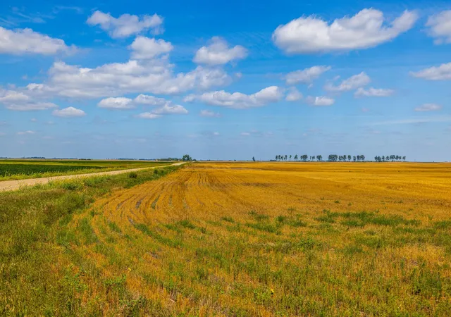 Photo 3 of Land for sale at Tbd 15 Ave NE Lot 4, Berwick, ND 58788 | MLS# 7135274 | Listing updated on 2026-09-03
