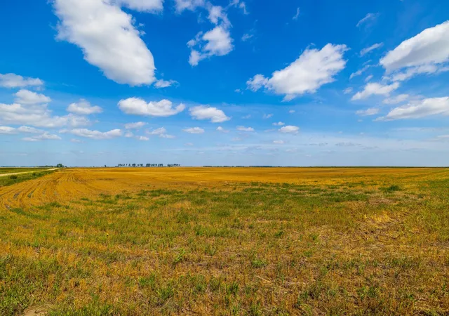 Photo 4 of Land for sale at Tbd 15 Ave NE Lot 4, Berwick, ND 58788 | MLS# 7135274 | Listing updated on 2026-09-03