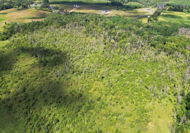 Photo 4 of Land for sale at 8124 181St Ave Nw, Ramsey, MN 55303 | MLS# 7135318 | Listing updated on 2026-08-28