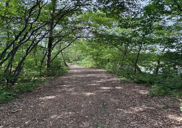 Photo 42 of Single family home for sale at 10605 54th Avenue N, Minneapolis, MN 55442 | MLS# 7135466 | Listing updated on 2026-09-05