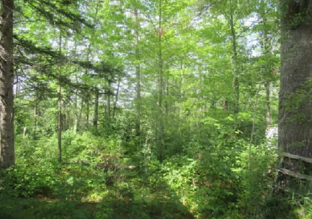 Photo 3 of Sale Pending at 40227 County Rd 106, Emily, MN 56447 | MLS# 7135722 | Listing updated on 2026-09-24