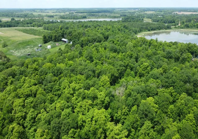 Photo 1 of Land for sale at Tbd 355th St, Richville, MN 56576 | MLS# 7135749 | Listing updated on 2026-08-29