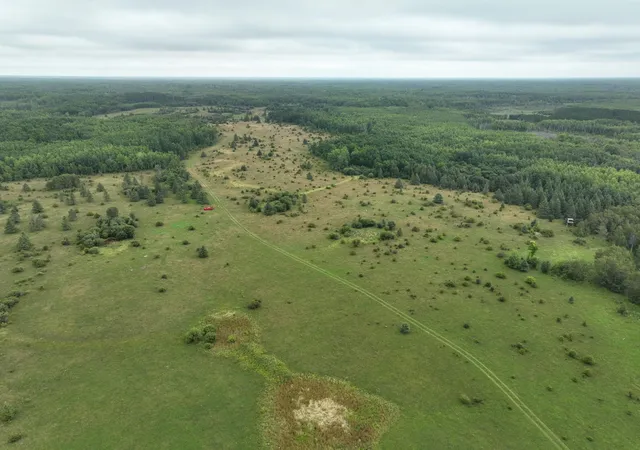 Photo 1 of Land for sale at Tbd County Rd 31, Northome, MN 56661 | MLS# 7135949 | Listing updated on 2026-09-02