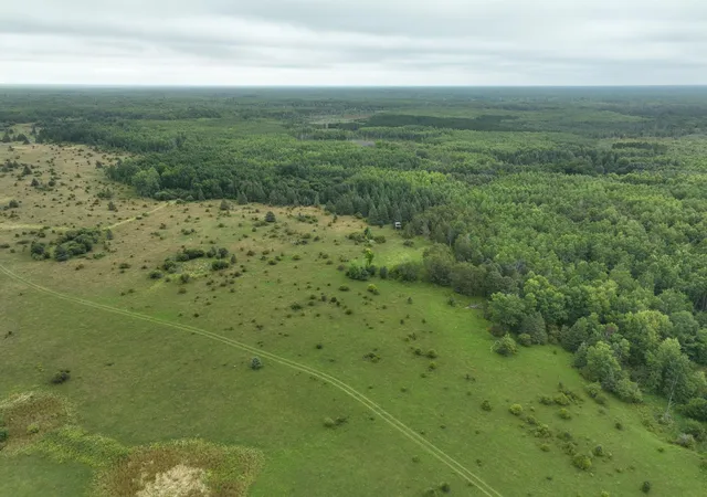 Photo 2 of Land for sale at Tbd County Rd 31, Northome, MN 56661 | MLS# 7135949 | Listing updated on 2026-09-02