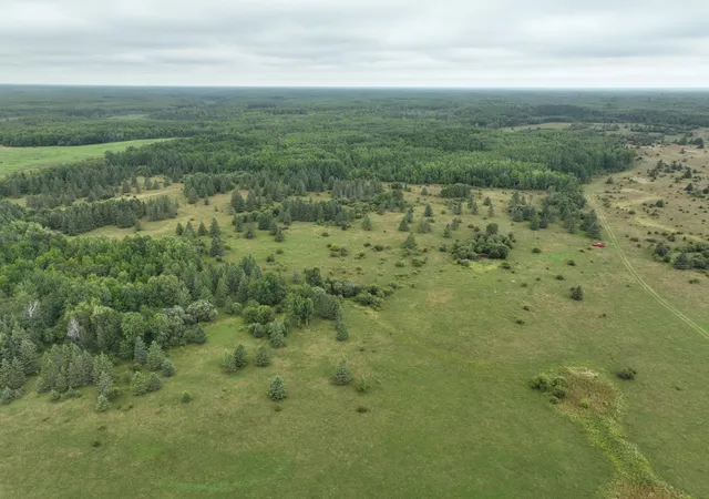 Photo 3 of Land for sale at Tbd County Rd 31, Northome, MN 56661 | MLS# 7135949 | Listing updated on 2026-09-02