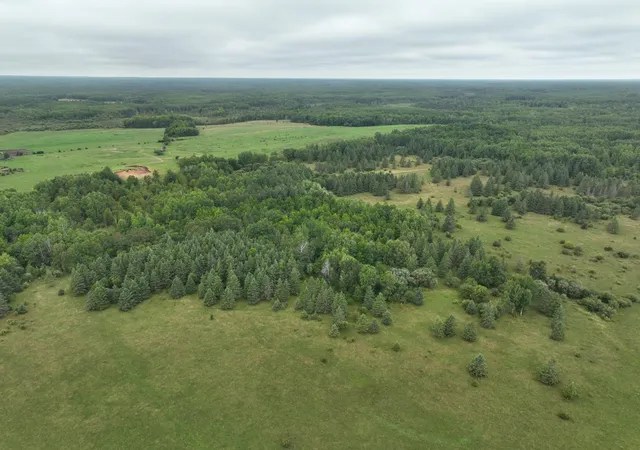 Photo 3 of Land for sale at Tbd County Rd 31, Northome, MN 56661 | MLS# 7135949 | Listing updated on 2026-09-02