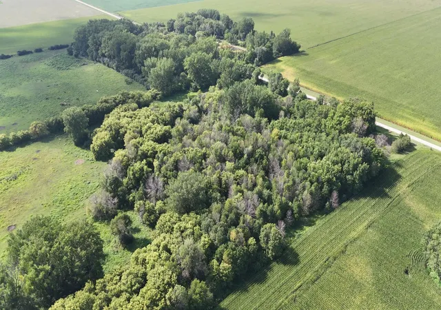 Photo 1 of Land for sale at 81581 275th Street, Hollandale, MN 56045 | MLS# 7136122 | Listing updated on 2026-09-12