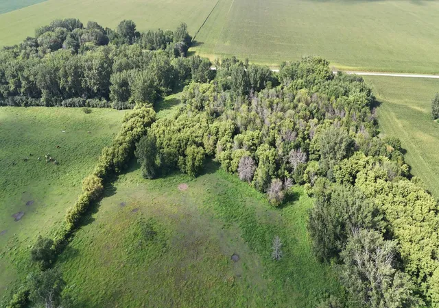 Photo 2 of Land for sale at 81581 275th Street, Hollandale, MN 56045 | MLS# 7136122 | Listing updated on 2026-09-12