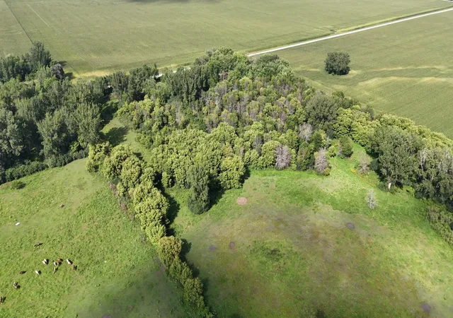 Photo 3 of Land for sale at 81581 275th Street, Hollandale, MN 56045 | MLS# 7136122 | Listing updated on 2026-09-12