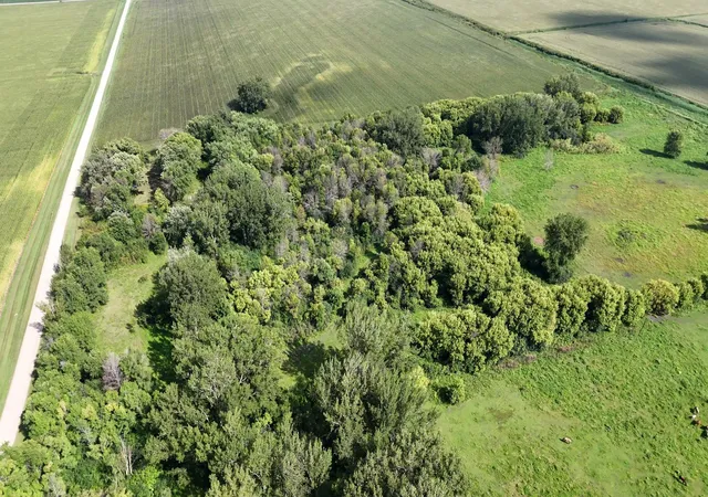 Photo 3 of Land for sale at 81581 275th Street, Hollandale, MN 56045 | MLS# 7136122 | Listing updated on 2026-09-12