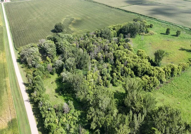 Photo 4 of Land for sale at 81581 275th Street, Hollandale, MN 56045 | MLS# 7136122 | Listing updated on 2026-09-12