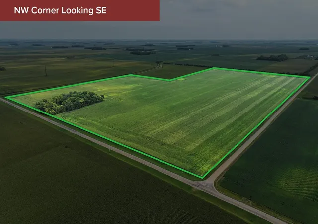 Photo 3 of Land for sale at 300 300th Avenue, Nashville Twp, MN 56098 | MLS# 7136139 | Listing updated on 2026-08-31