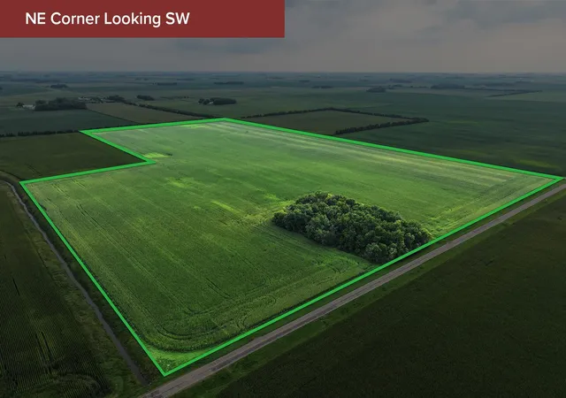 Photo 3 of Land for sale at 300 300th Avenue, Nashville Twp, MN 56098 | MLS# 7136139 | Listing updated on 2026-08-31