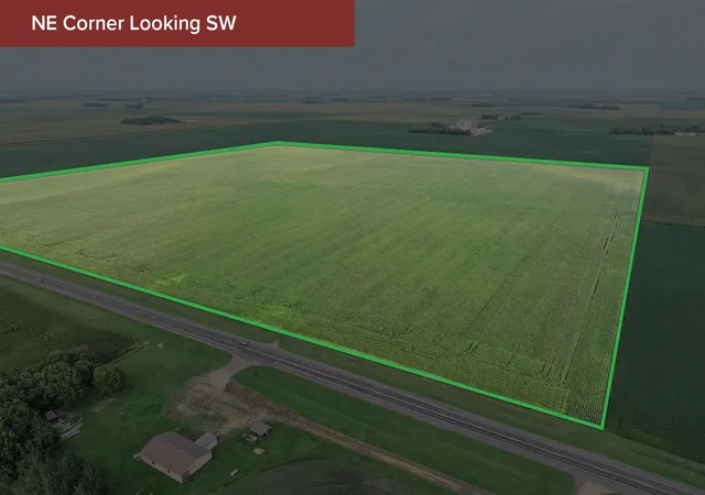 Photo 4 of Land for sale at 220 220th Avenue, Truman, MN 56088 | MLS# 7136169 | Listing updated on 2026-08-31