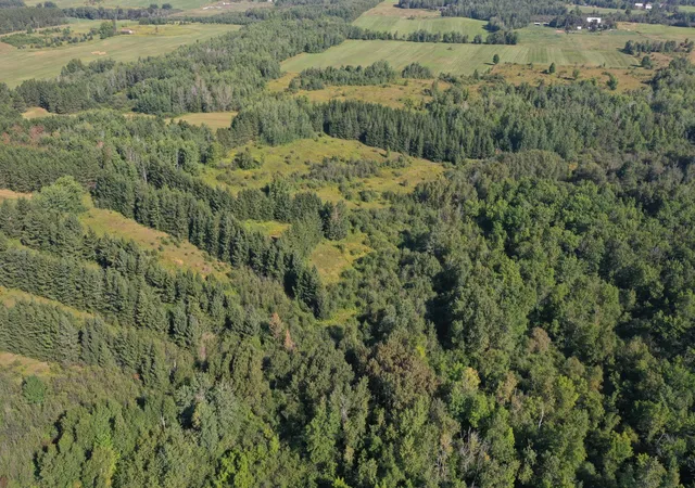 Photo 3 of Sale Pending at Tbd Highway 2, Brookston, MN 55711 | MLS# 7136294 | Listing updated on 2026-09-22