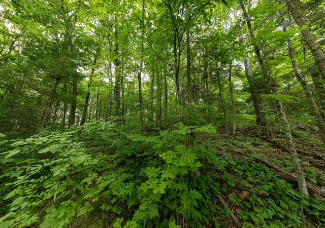 Photo 4 of Land for sale at Tbd Mn 18, Brainerd, MN 56401 | MLS# 7136589 | Listing updated on 2026-09-08