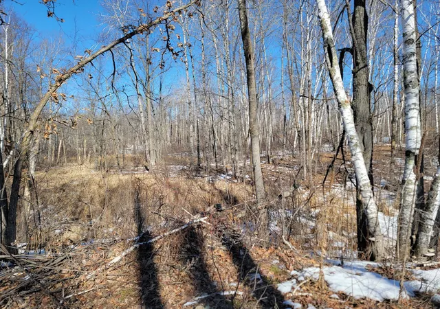 Land for sale at Tbd Xxxx Meadow Lake Rd SW, Motley, MN 56466 | MLS# 7136711