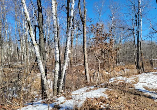 Photo 2 of Land for sale at Tbd Xxxx Meadow Lake Rd Sw, Motley, MN 56466 | MLS# 7136711 | Listing updated on 2026-09-08