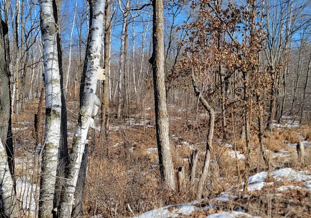Photo 3 of Land for sale at Tbd Xxxx Meadow Lake Rd Sw, Motley, MN 56466 | MLS# 7136711 | Listing updated on 2026-09-08