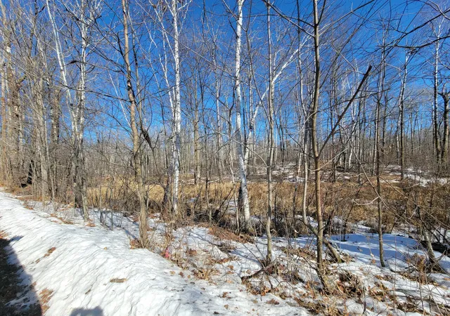 Photo 3 of Land for sale at Tbd Xxxx Meadow Lake Rd SW, Motley, MN 56466 | MLS# 7136711 | Listing updated on 2026-09-08