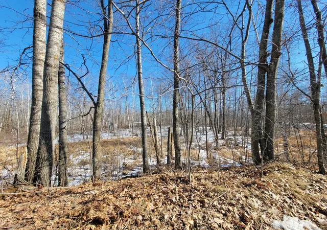 Photo 4 of Land for sale at Tbd Xxxx Meadow Lake Rd SW, Motley, MN 56466 | MLS# 7136711 | Listing updated on 2026-09-08