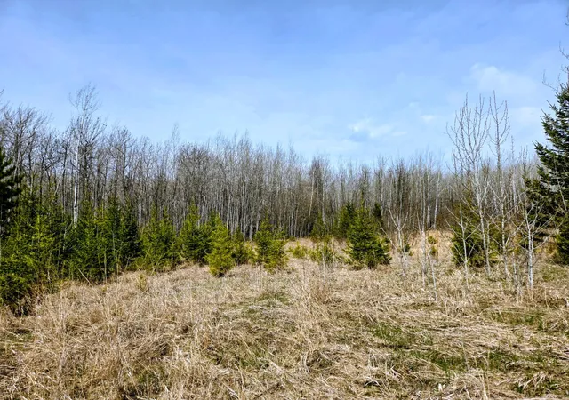 Photo 3 of Land for sale at 17 County Rd, Mizpah, MN 56660 | MLS# 7136774 | Listing updated on 2026-09-01