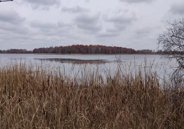 Photo 1 of Land for sale at Tbd* Snowshoe Trl, Staples, MN 56479 | MLS# 7136819 | Listing updated on 2026-09-02